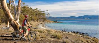 Cycling on Maria Island | Andrew Bain