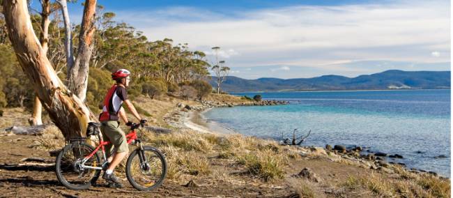 Cycling on Maria Island | Andrew Bain