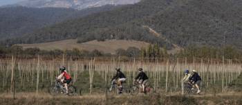 Cycling the Rail Trails near Victoria's alpine regions | Peter Dunphy