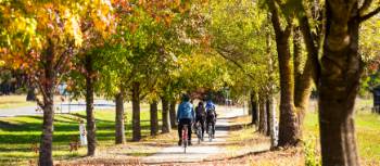 Cycling towards Feathertop Wines near Bright | Josie Withers