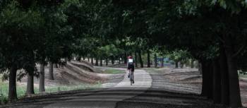 Cyclist on the Murray to the Mountains Rail Trail | Bruce Baker