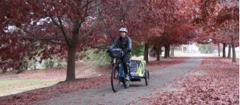 Cycle through tree-lined paths on the Murray to Mountains Rail Trail | Erin Williams